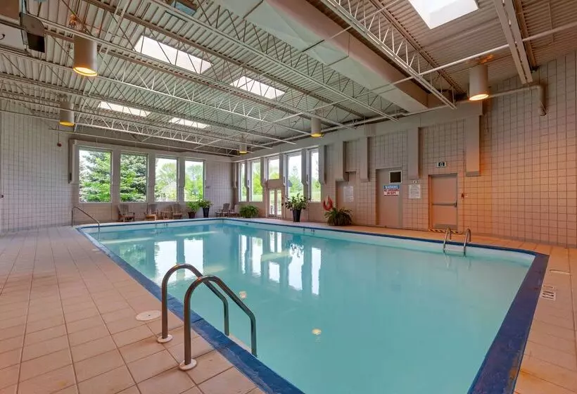 酒店 Best Western Plus Mariposa Inn & Conference Centre