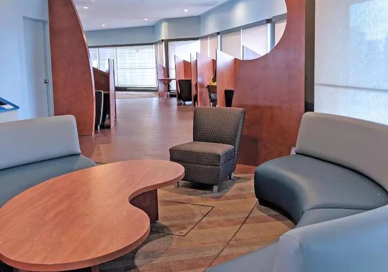 Hotel Chestnut Residence   Campus Accommodation