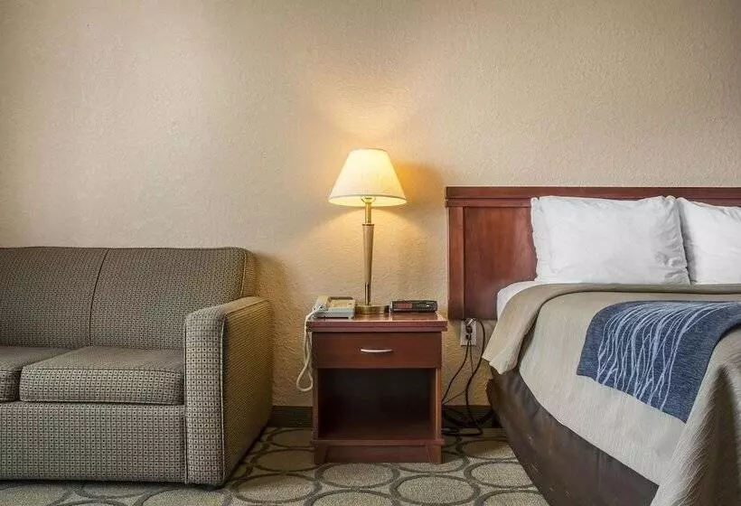 ホテル Comfort Inn