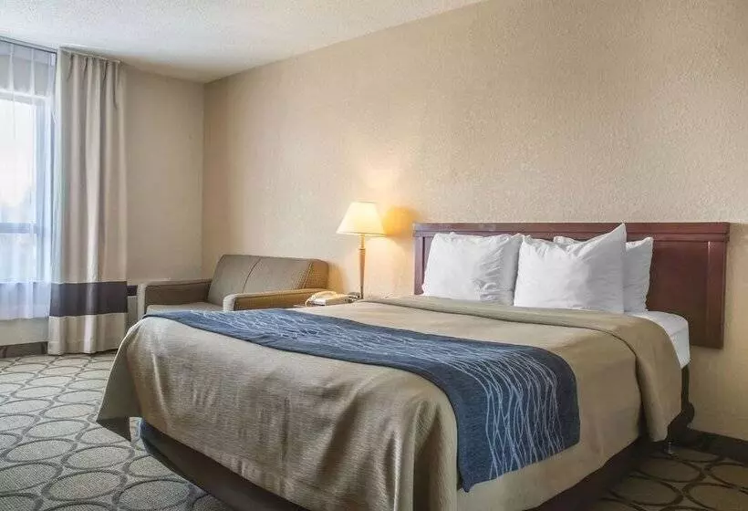 ホテル Comfort Inn