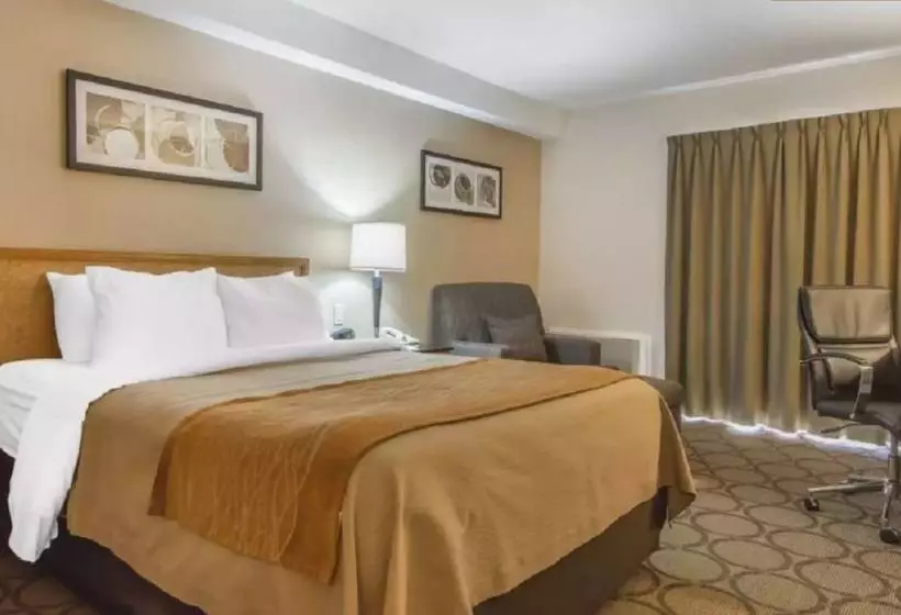 בית מלון כפרי Comfort Inn Magnetic Hill