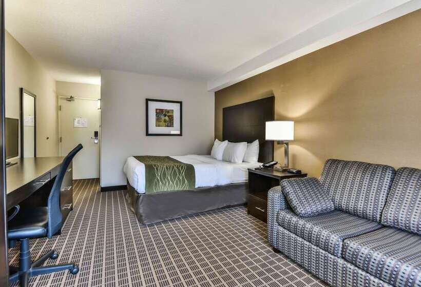 فندق Comfort Inn