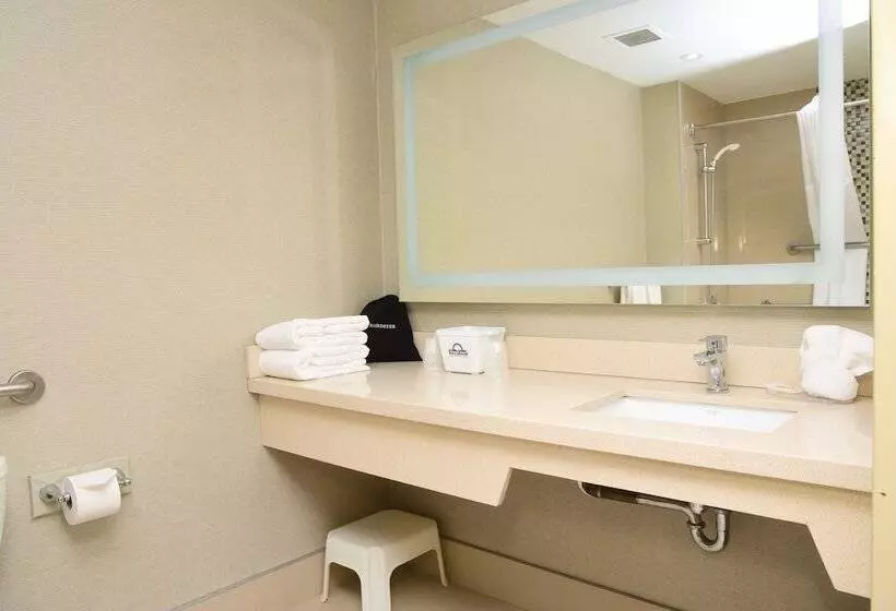 酒店 Days Inn By Wyndham Ottawa