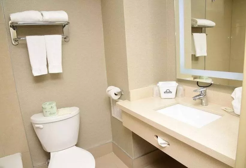 酒店 Days Inn By Wyndham Ottawa