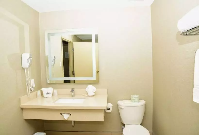 酒店 Days Inn By Wyndham Ottawa