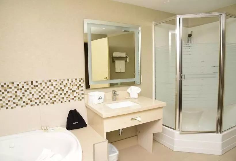 酒店 Days Inn By Wyndham Ottawa