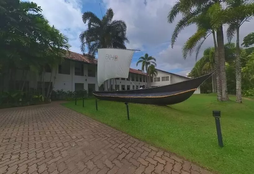 Отель Ekho Surf