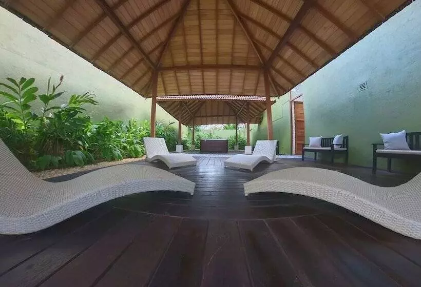 Отель Ekho Surf