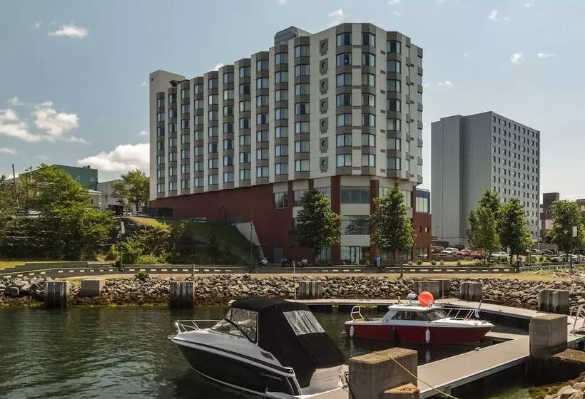 فندق Holiday Inn Sydney   Waterfront, An Ihg