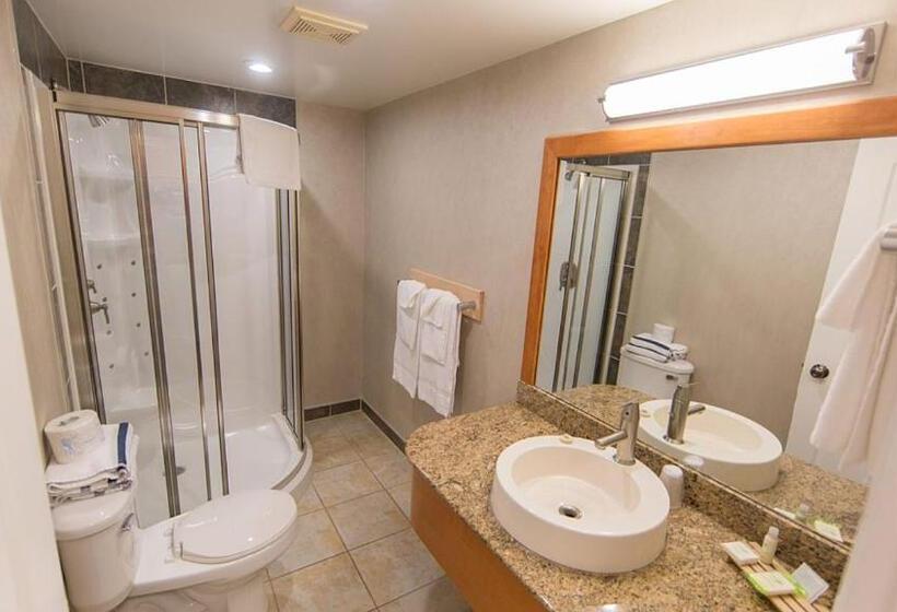 هتل Mount Robson Inn