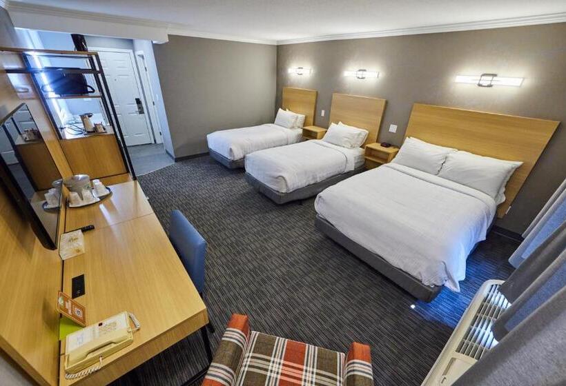 هتل Mount Robson Inn