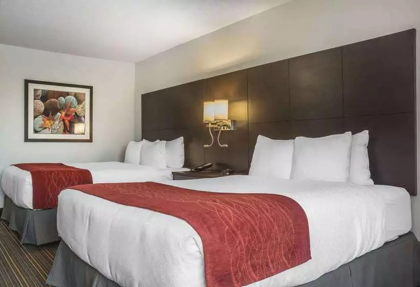 בית מלון כפרי Quality Inn