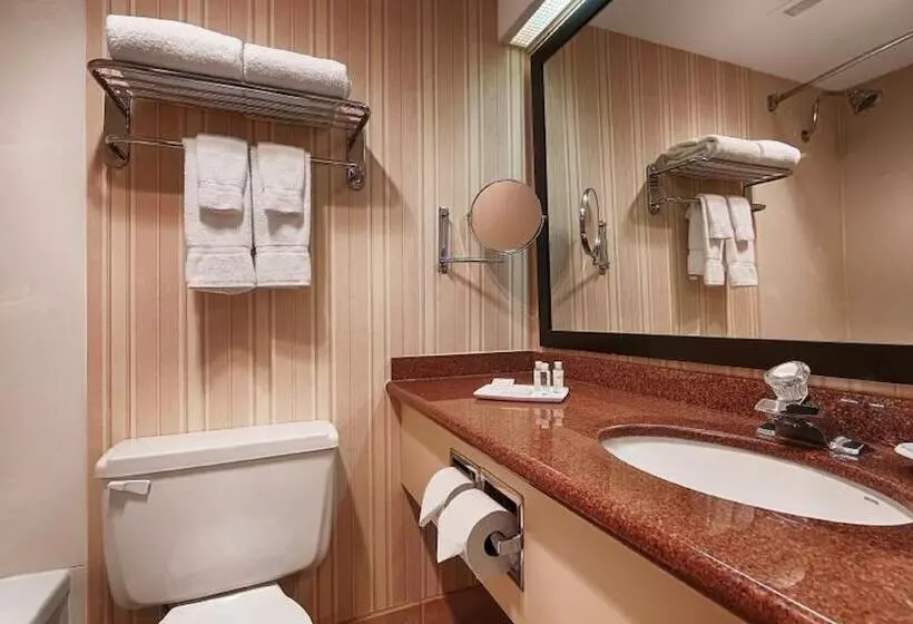 هتل The Roehampton