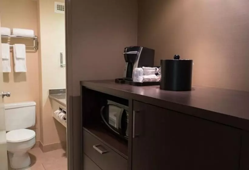 هتل The Roehampton