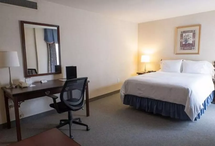 هتل The Roehampton