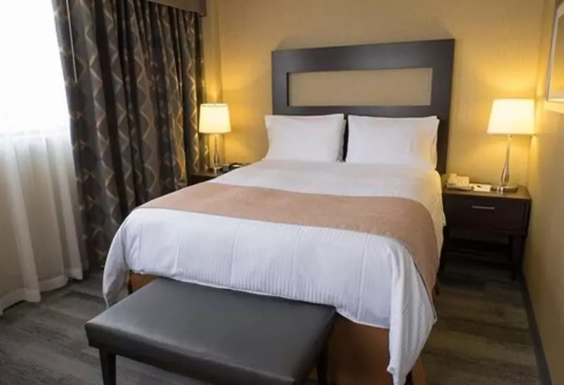 هتل The Roehampton