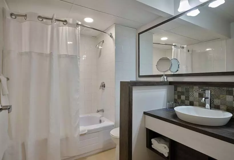 Отель Universel, Centre De Congres Riviereduloup