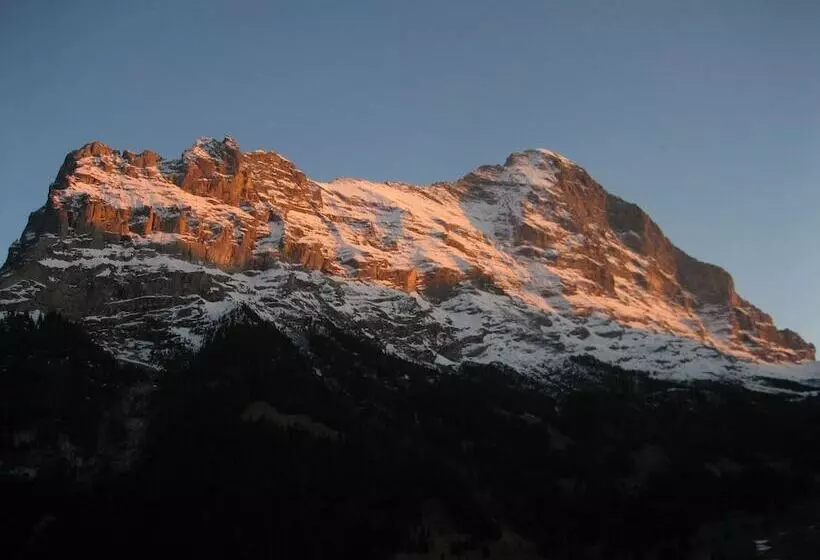 Hotel Bernerhof Grindelwald