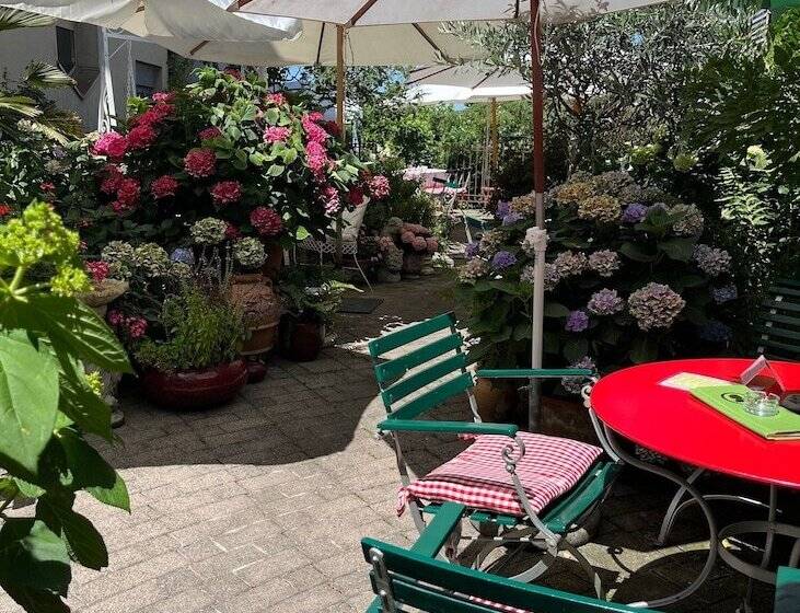 בית מלון כפרי Mozart