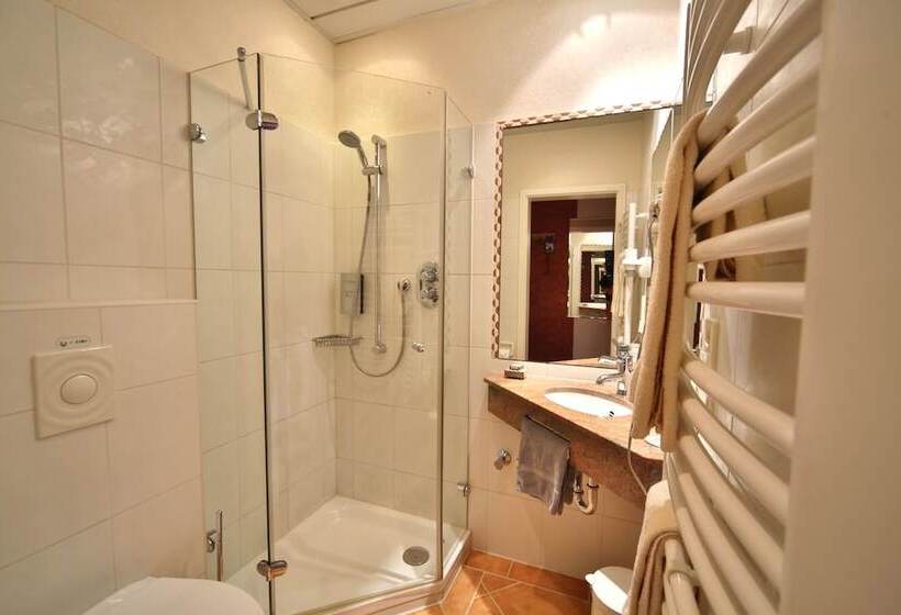 Отель Landidyll Wilminks Park