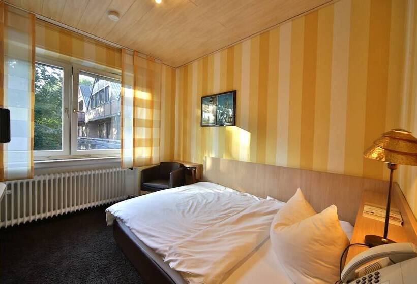 Отель Landidyll Wilminks Park