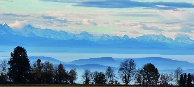 Bio  Und Wellnesshotel Alpenblick