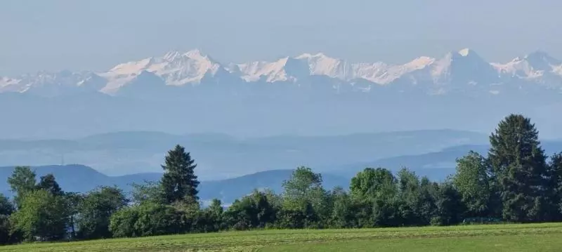 Bio  Und Wellnesshotel Alpenblick