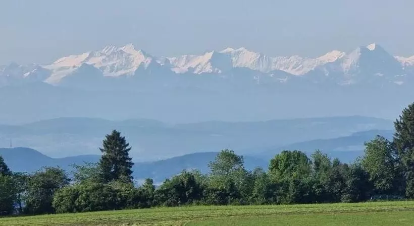 Bio  Und Wellnesshotel Alpenblick