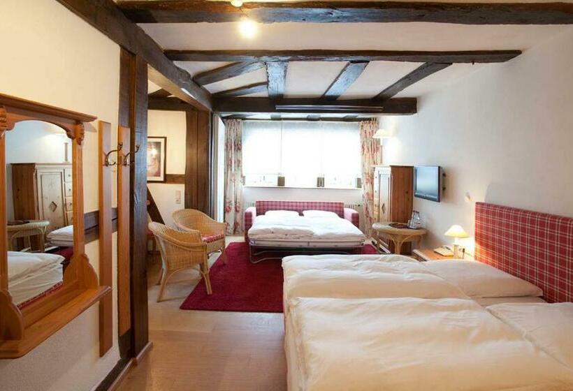 בית מלון כפרי Karpfen