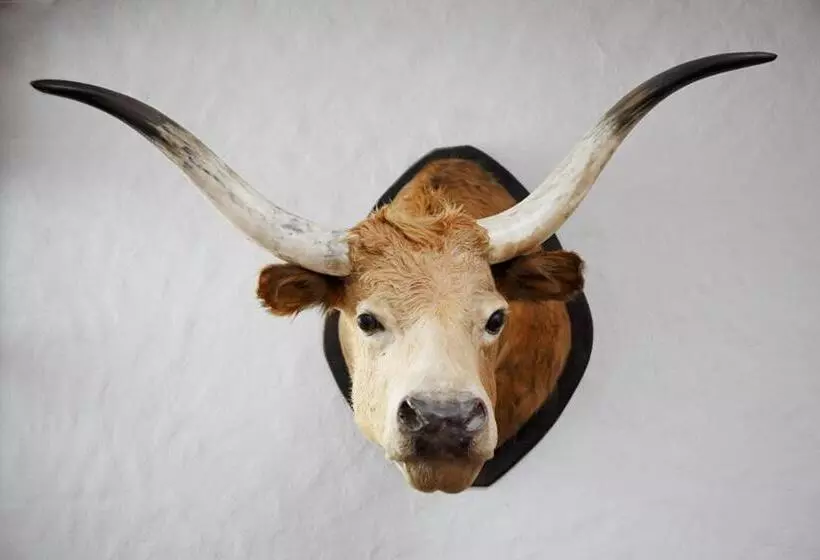 Отель Zum Goldenen Ochsen Am Schlossgarten