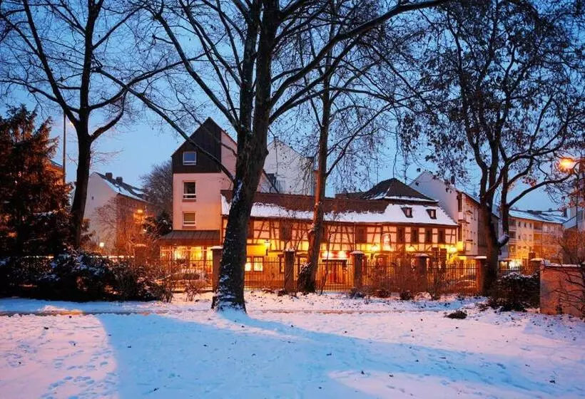 Отель Zum Goldenen Ochsen Am Schlossgarten