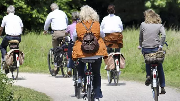 Отель Zum Goldenen Ochsen Am Schlossgarten