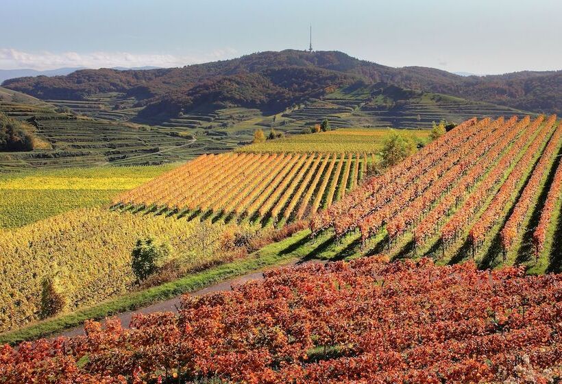 Tiptop Hotel Garni Pfauen