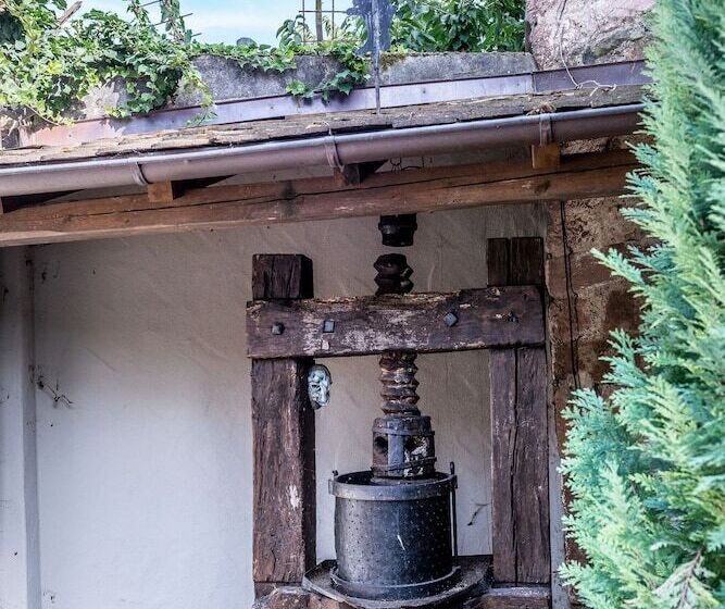 Tiptop Hotel Garni Pfauen