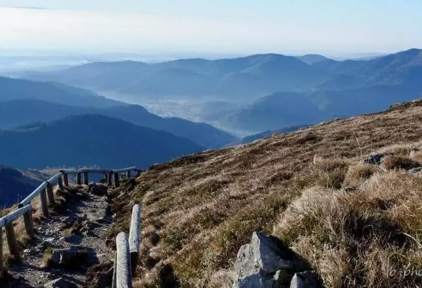 Отель L Ao Hôtel & Restaurant L Aigle D Or