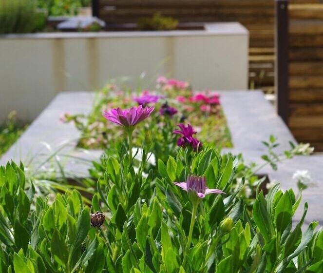 בית מלון כפרי Le Coudon