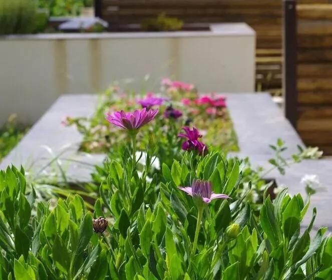 Отель Le Coudon