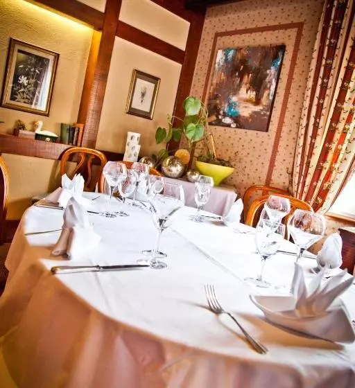 Logis Hotel Aux Comtes De Hanau