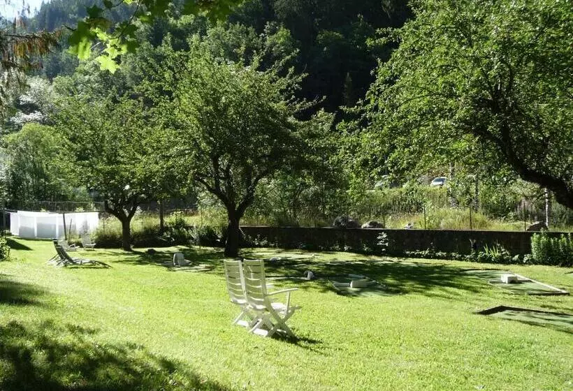 Отель Chateau De La Muzelle