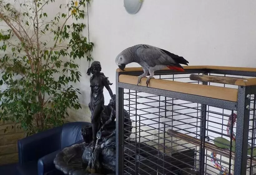 Отель Le Relais De La Route Bleue