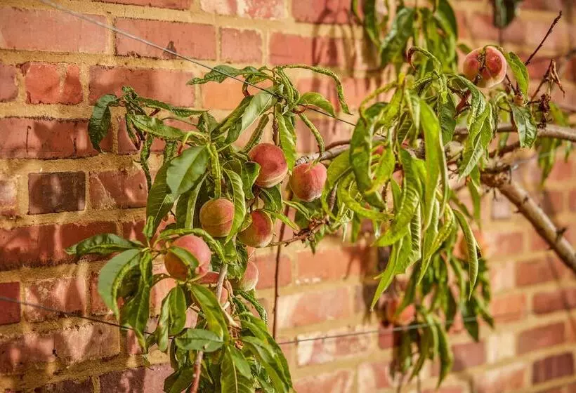 Mallory Court Country House Hotel & Spa