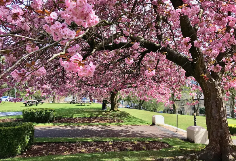 The Palace Hotel Buxton & Spa
