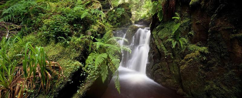 Hotel The Creggans Inn