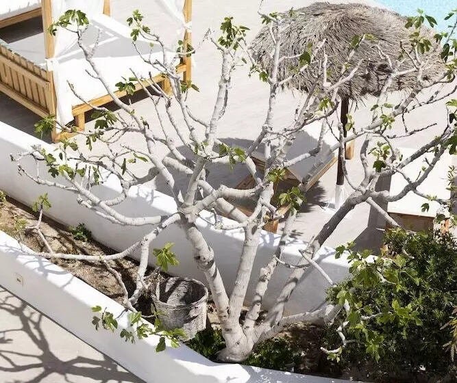 酒店 Casa Vitae Suites