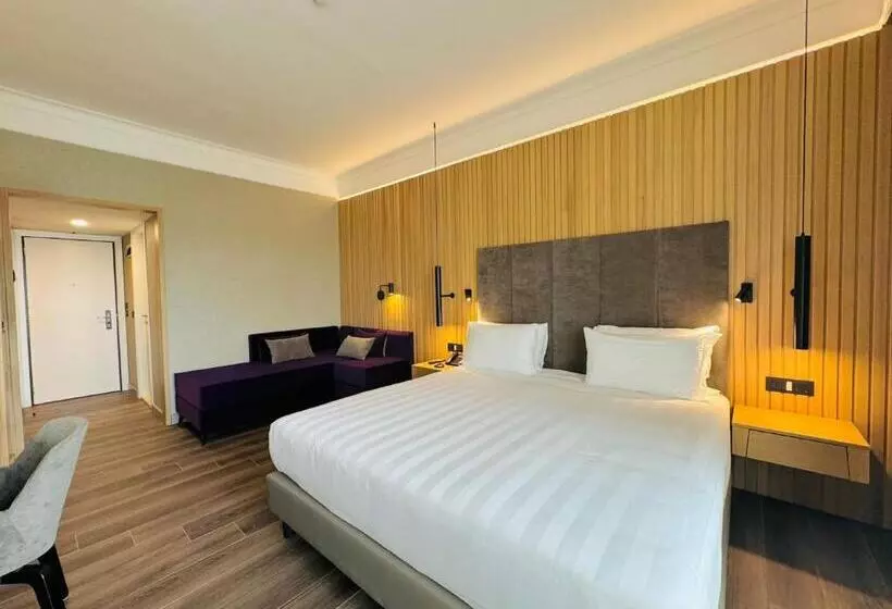 هتل Crowne Plaza Rome St. Peter S, An Ihg