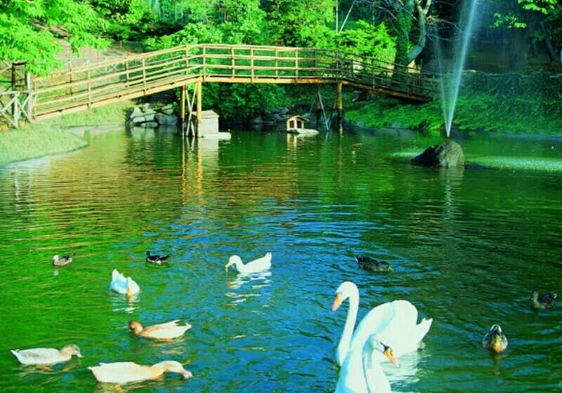 ホテル Balletti Park