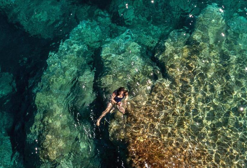 בית מלון כפרי Il Telamonio