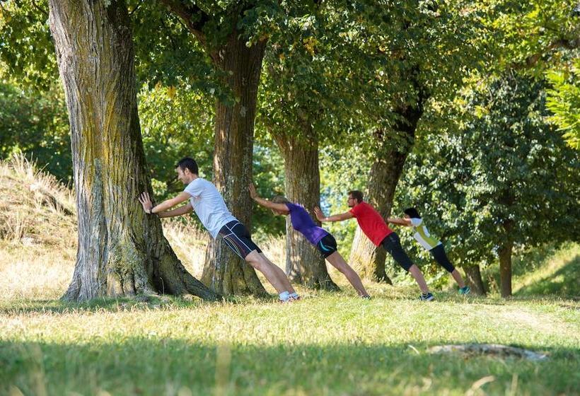 בית מלון כפרי Waldrast Dolomites