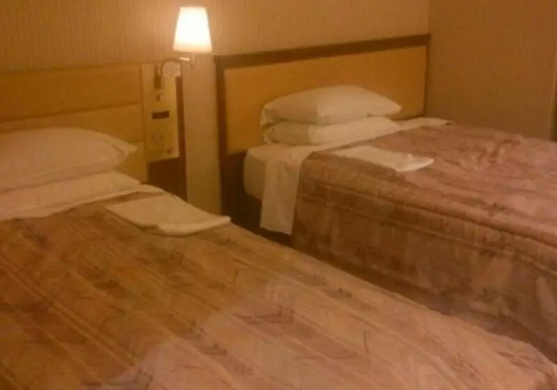 Отель Grand Terrace Toyama