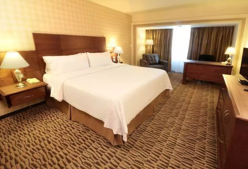 Hotel Holiday Inn Monterrey Norte, An Ihg